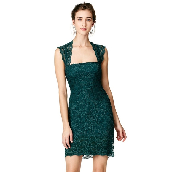 Nicole Miller Dresses & Skirts - ✨HP✨ Nicole Miller Fair Lady Green Lace Dress